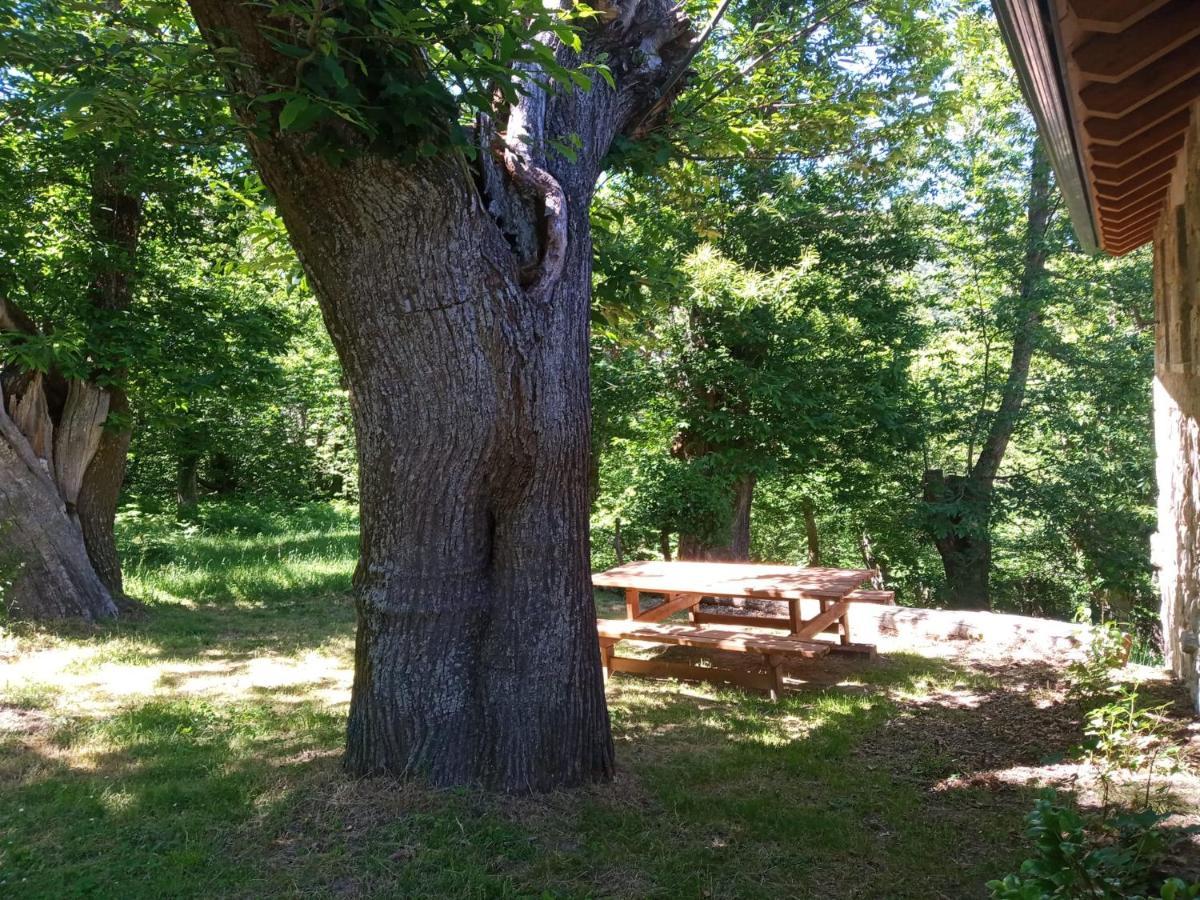 Casa De Anama Βίλα Entrecinsa Εξωτερικό φωτογραφία